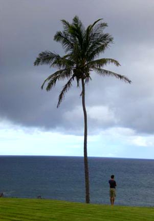 hawaii